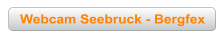 Webcam Seebruck - Bergfex